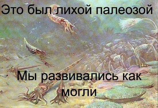 Старперам посвящается!