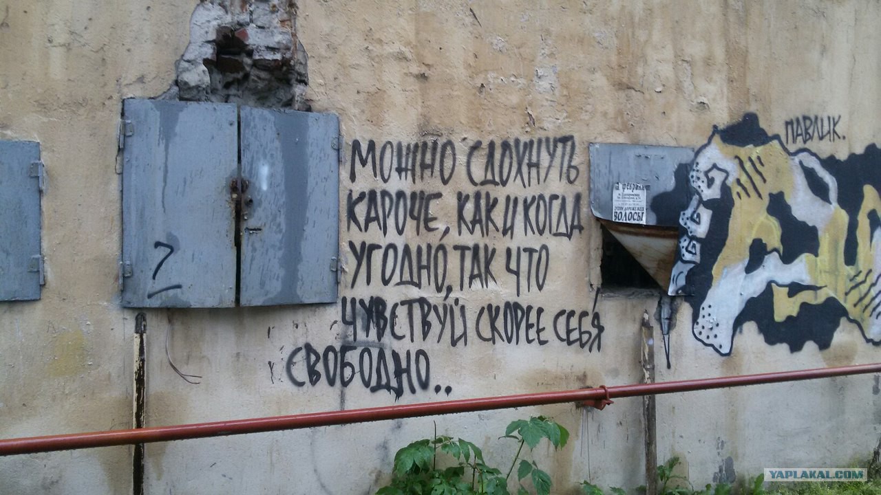 Вы не понимаете это другое картинка оригинал