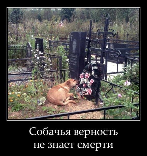 Эти глаза...