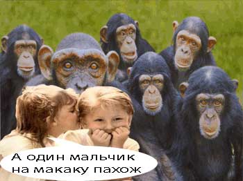 ДЕТИ. Прикольные дети, карапузы, малыши