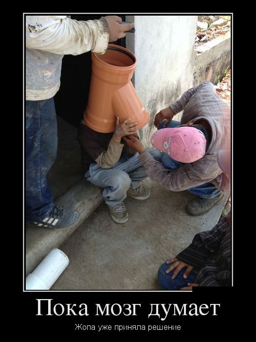 Картинки и приколы из сети