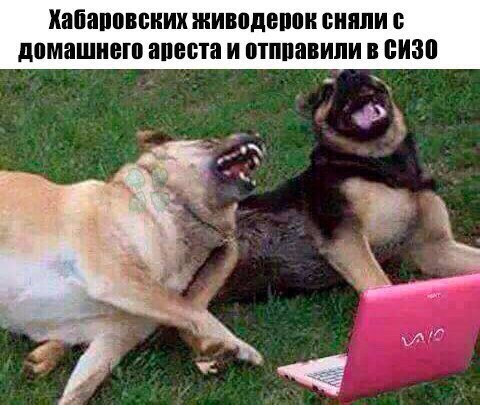 Немного картинок