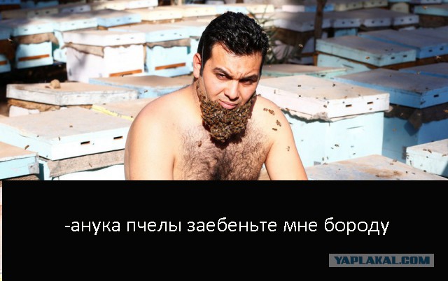 Немножко картинок с буквами, типа демотиваторы