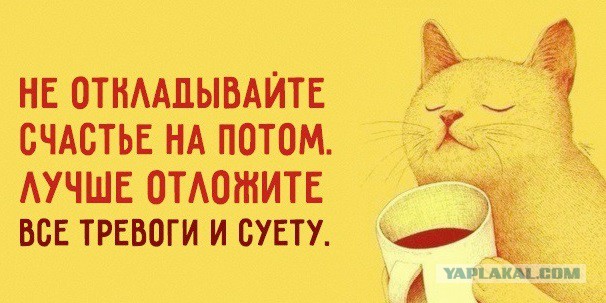 Подборка интересных и веселых картинок