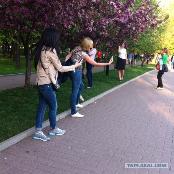 Картинок разных