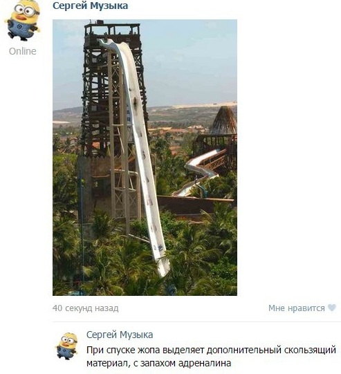 Забавные комментарии, шутки и фразы из этих ваших интернетов