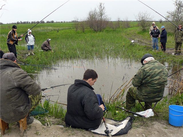 Подборка интересных и веселых картинок