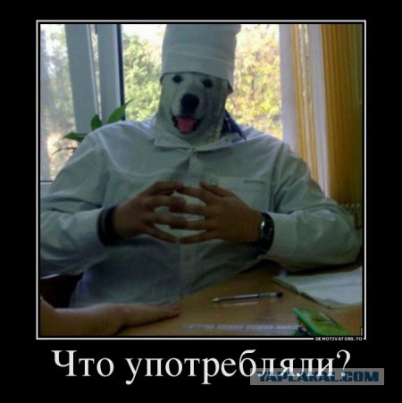 Срань какая, говорили они. А мне понравилось!