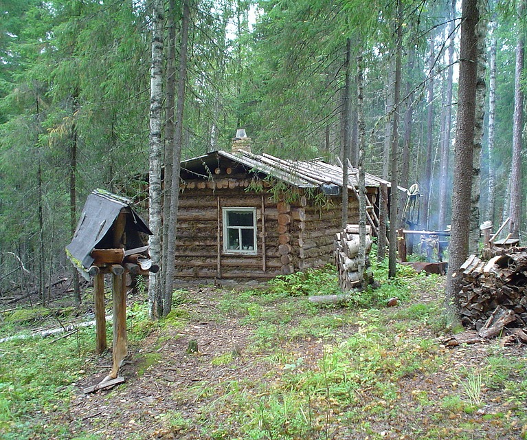 Домик Лесника Фото
