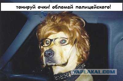 Наказание за тонировку станет ещё жестче...