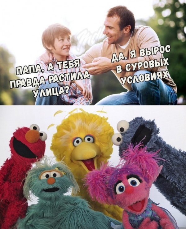 Нестандартный юмор