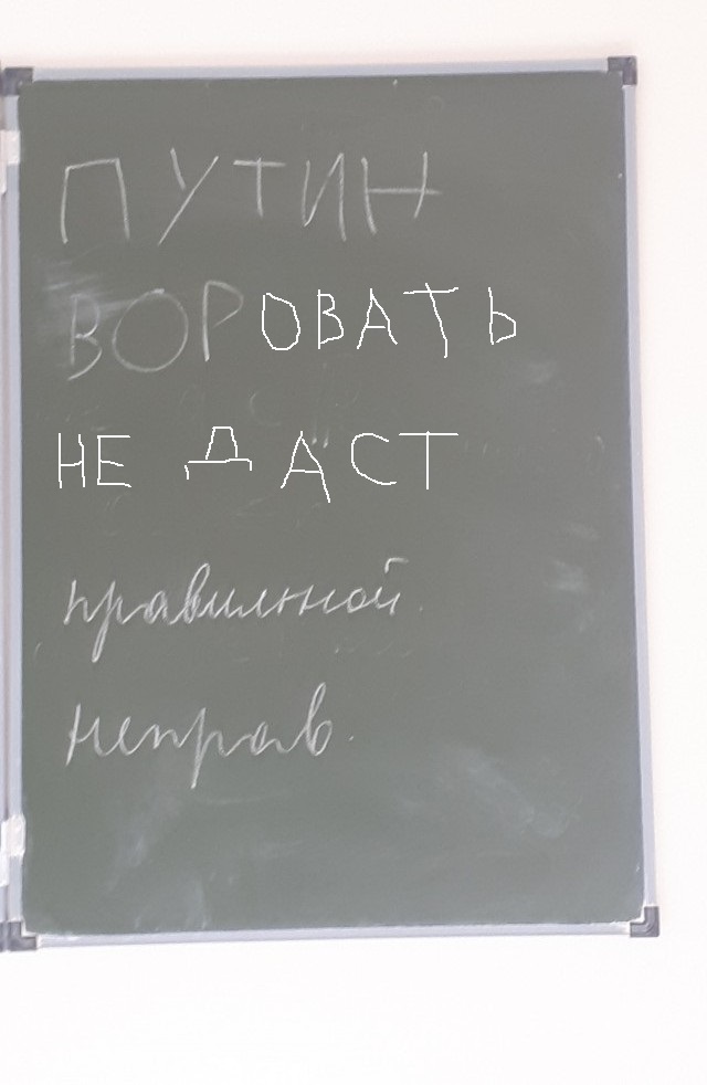 Школьники в регионах РФ запустили флешмоб с надписью «Путин — вор»