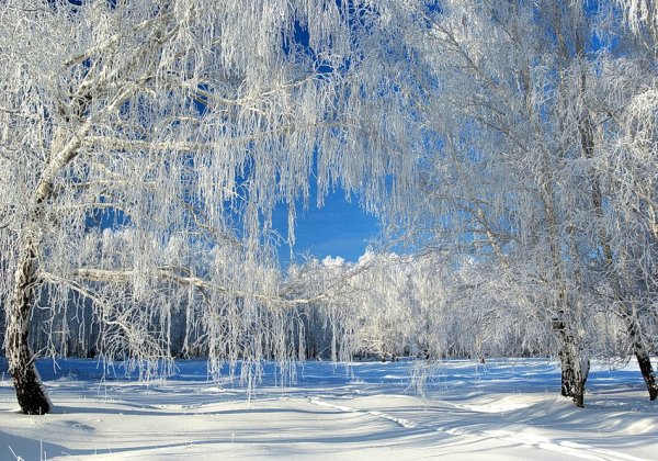 Подборка прикольных и просто красивых картинок 26.02.2019