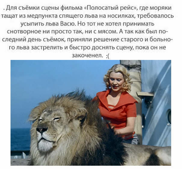 Уголок гражданской обороны и самосознания