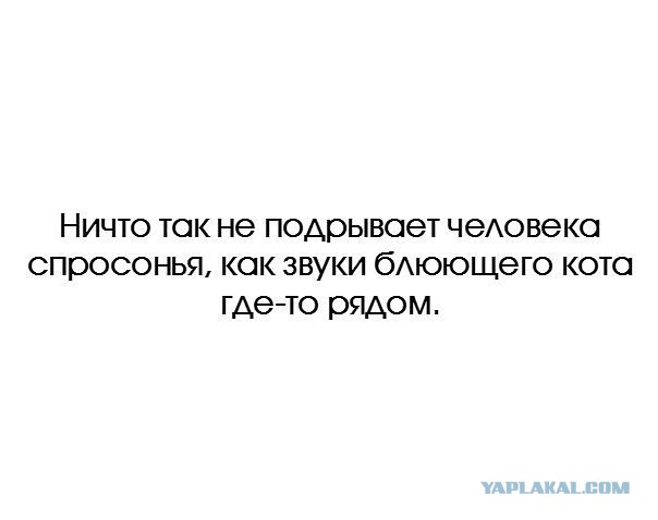 Забавные шутки, картинки и фразы из этих ваших интернетов