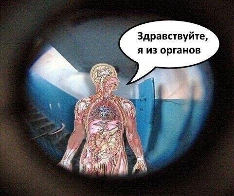 Чернь, дрянь, перегной