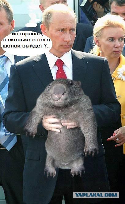 Фотожаба: Путин и зверь