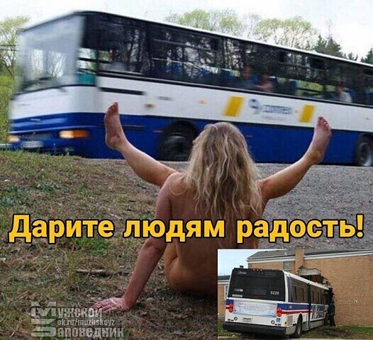 Прикольные и просто красивые картинки 26.11.2020