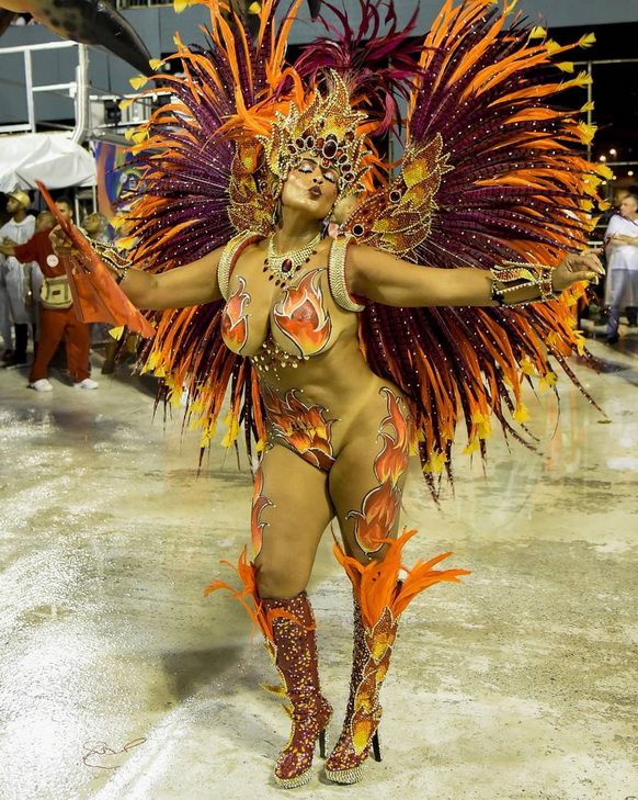 Карнавальных птичек пост