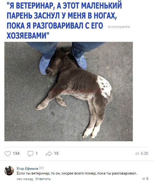 Комментарии к постам в разных группах, которые вызвали улыбку