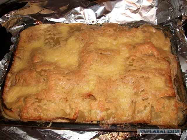 РУЛЕТИКИ из СВИНОЙ КОРЕЙКИ  (грибы, сыр, бекон)