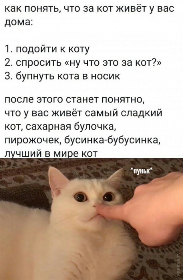 Прикольные и просто красивые картинки 04.08.2021