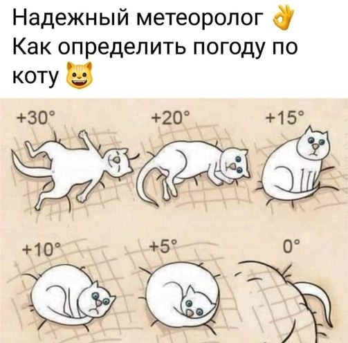 Шерстяной будильник