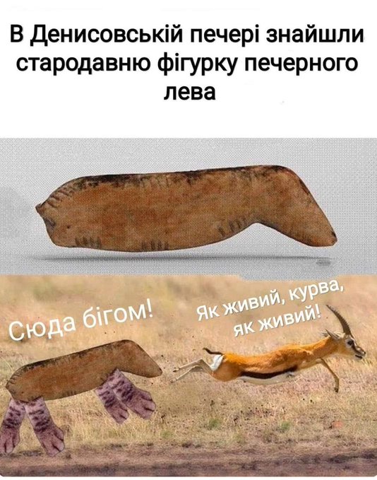 Так себе картинки 13.12.21