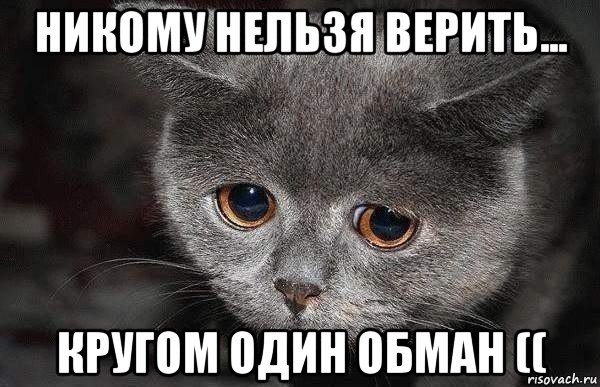 Я тебя люблю
