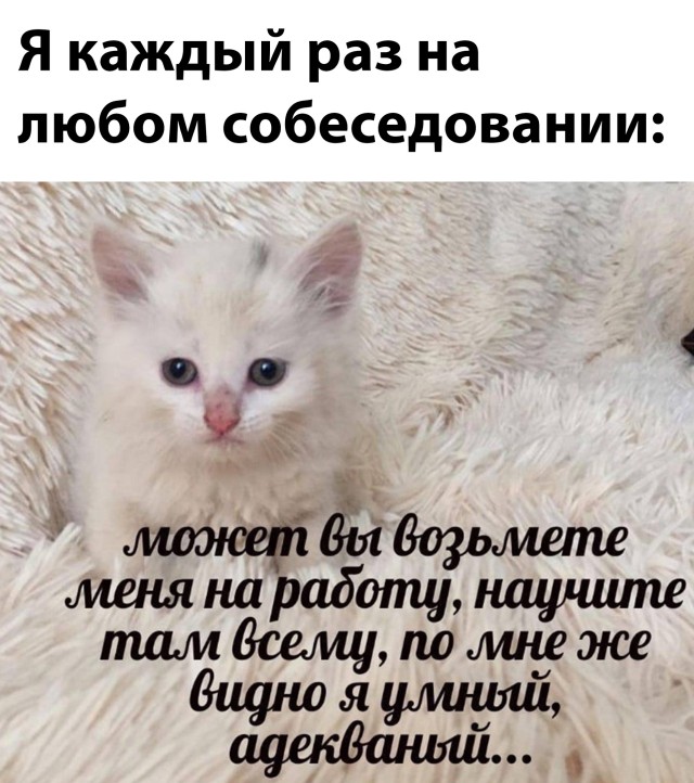 Так себе картинки 23.04.22