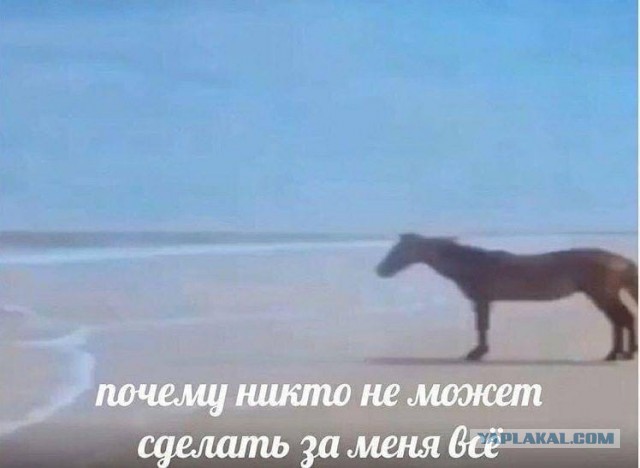 Пятница. Вечер. Картинки всякие #7