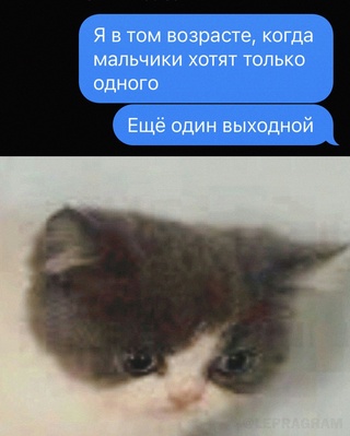 Немного картинок для настроения - 112