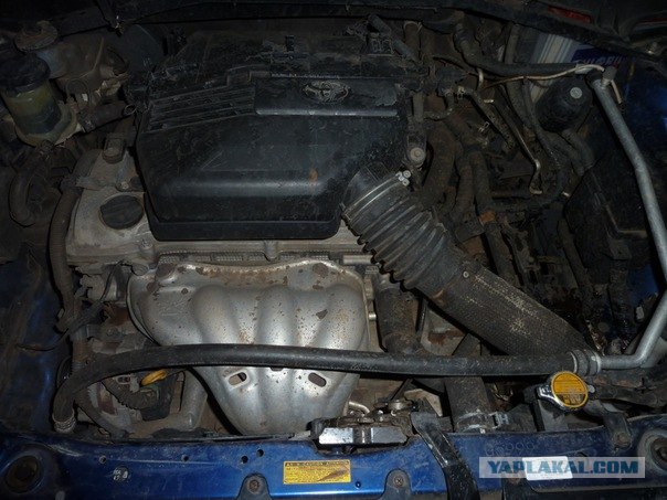 AFRICA - (Эфиопия,Кения,Танзация) 4-16 ноября 2011