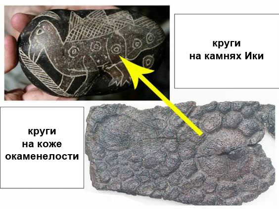 Прикольные и просто красивые картинки 21.03.2023