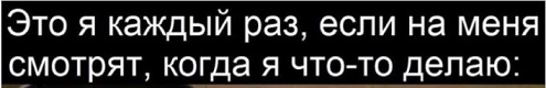 Так себе картинки 08.04.23