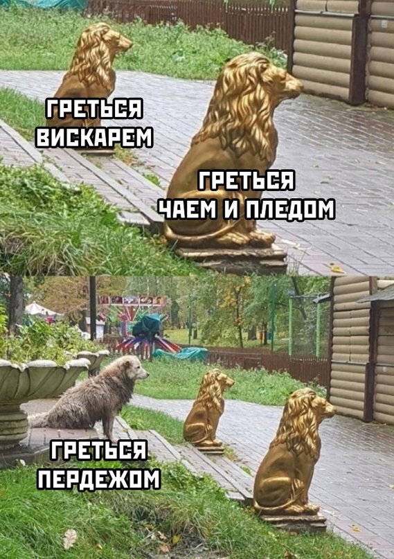Весёлый полтишок 08.09.23