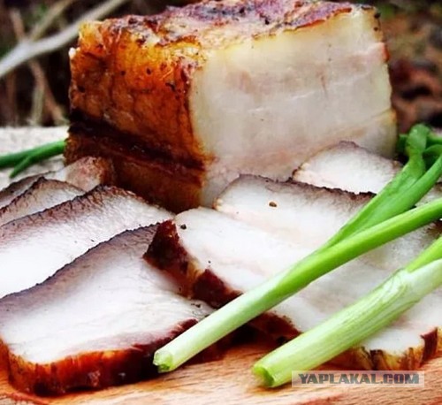 «Я вообще мяса не ем, но здесь все так вкусно и аппетитно!»