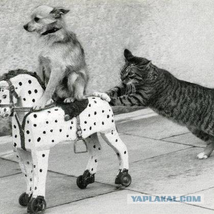 Давай... до свиданья!