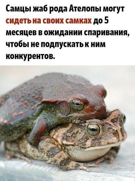 Немного пошлых картинок 16+ 21.08.24