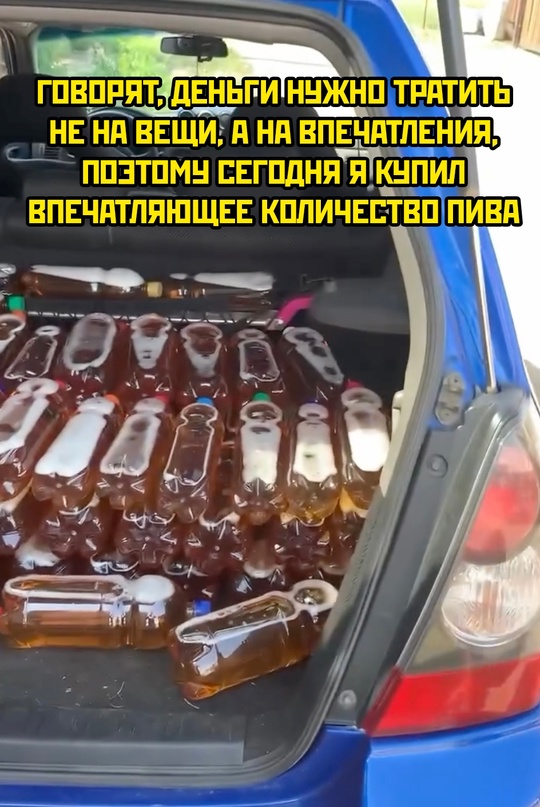 Весёлый полтишок 27.08.24