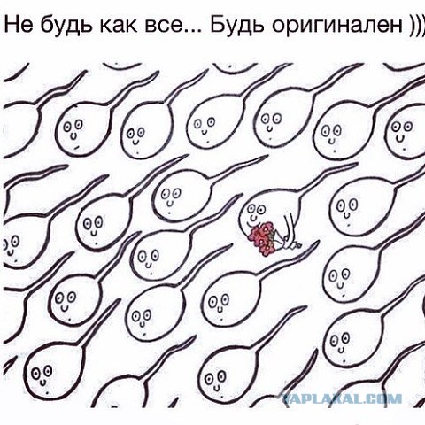 Про здоровье и не только
