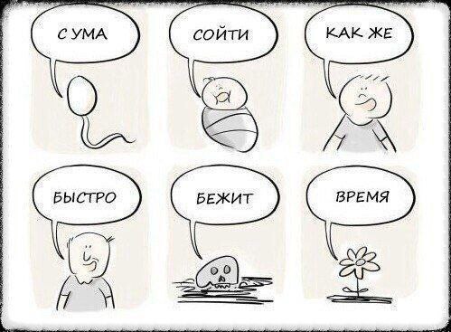Немного мемчиков. Для взрослых. Часть 38