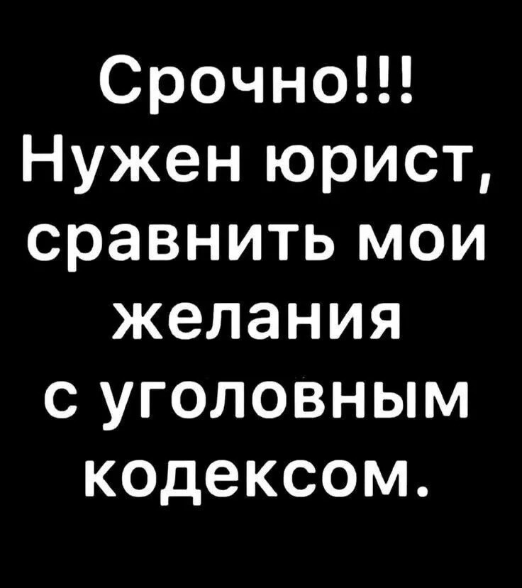 20335008.jpg