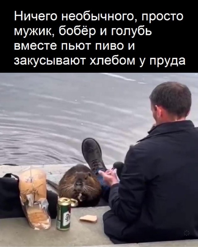 Картинки разные с надписями и без