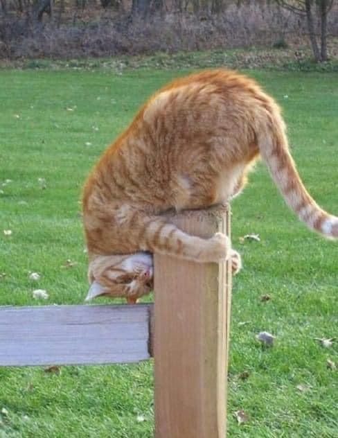 Прикольные и просто красивые картинки 18.11.2025