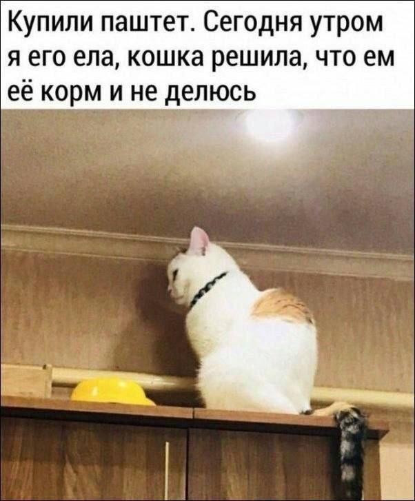 Картинки для деградации 289 (разной степени свежести)