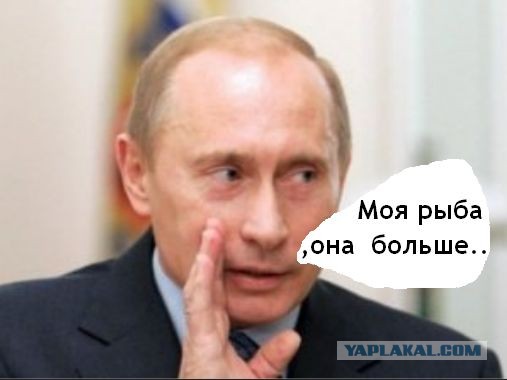 Ничего себе рыбалочка!