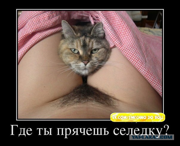 Смешные картинки, добавляйте свои!