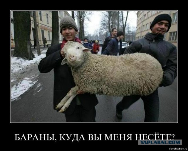 Демотиваторов пост, добавляйте свои