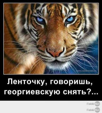 Снять Георгиевскую ленточку